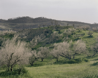 Zacharo
<br>forest fire in the southern Peloponnesus, Greece
<br>diploma thesis 2008